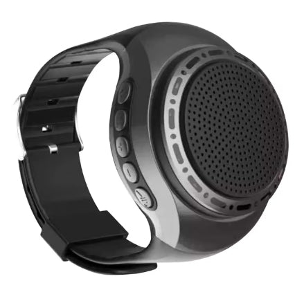 Pols Speaker